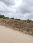200 Acres Prime Farmland along River - 2
