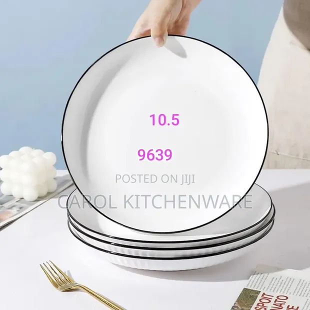 10.5" Japanese Ceramic Dinner Plates (Set of 6) - 1