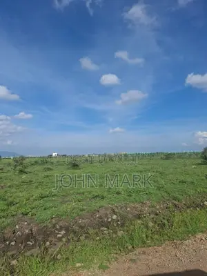 Mixed-Use 50x100 Plot with Title Deed