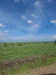 Kitalu cha Mixed-Use 50x100 chenye Hati Miliki - 2