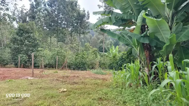 1/4 Acre Plot in Karatina with Water, Power, All-Weather Road - 1