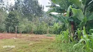 Kitalu cha 1/4 Eka Karatina chenye Maji, Umeme, Barabara ya Durati