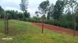1/4 Acre Plot in Karatina with Water, Power, All-Weather Road - 2