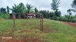1/4 Acre Plot in Karatina with Water, Power, All-Weather Road - 3
