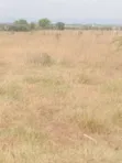 Kiwanja cha Kuuzwa Juja Athi - 4