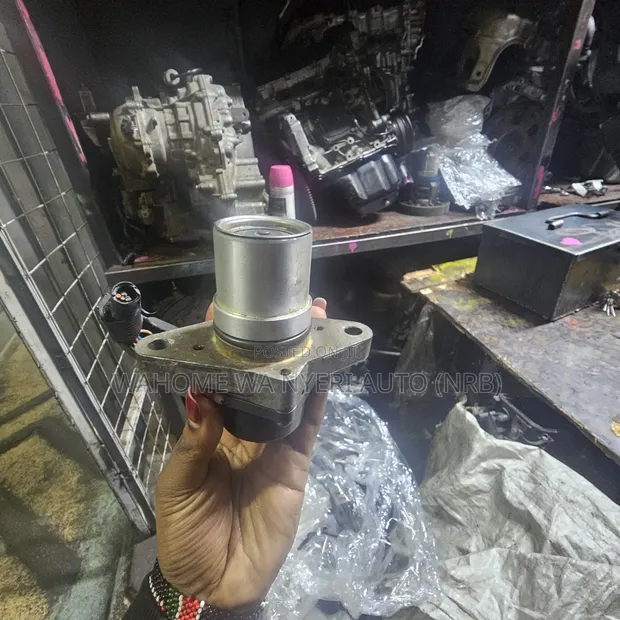 Nissan X-Trail EGR Valve (MR20 Engine) - 1