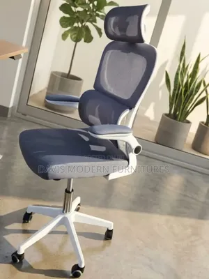Ergonomic Mesh Office Chair - Mpya Kabisa