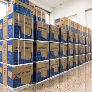Direct Factory Prices Chest Deep Freezers (60L-150L)