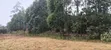 Kitalu cha 50x100 Thigio, Lusingetti - 2
