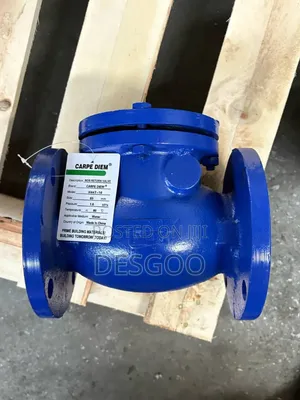 Swing Check Valve 3 Inch