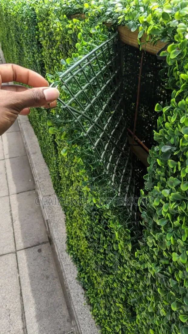Lush-Looking Solution for Open Spaces With Boxwood Hedge Panels - 1