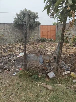 Kitalu cha Mwihoko 40x50 kwa Uuzaji