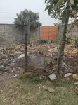Kitalu cha Mwihoko 40x50 kwa Uuzaji - 1