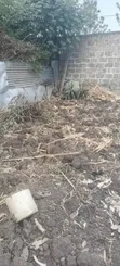 Kitalu cha Mwihoko 40x50 kwa Uuzaji - 3