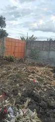 Kitalu cha Mwihoko 40x50 kwa Uuzaji - 4