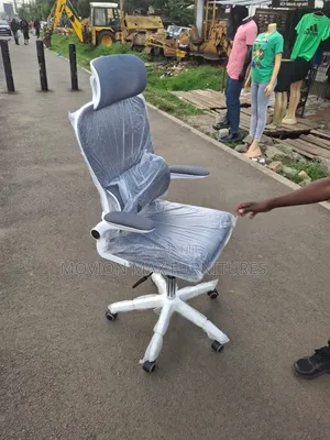 Moduflex Orthopedic Office Chair - Brand New