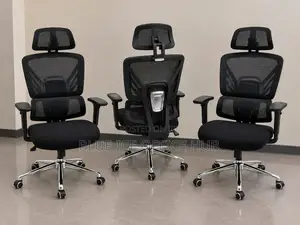 Ergonomic Executive Mesh Office Chair with Headrest