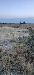 50x100 Plot for Sale in Kantafu - 3
