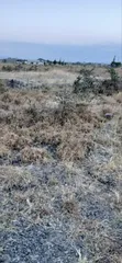 50x100 Plot for Sale in Kantafu - 4
