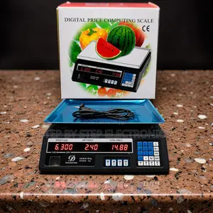 Modern ACS 40 Digital Weighing Scale
