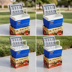 Domestic Use Family-Friendly 4.5L Handheld Portable Cooler Box Ice Box