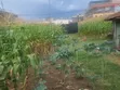 1/8 Acre Commercial Plot for Sale, Gitothua - 1