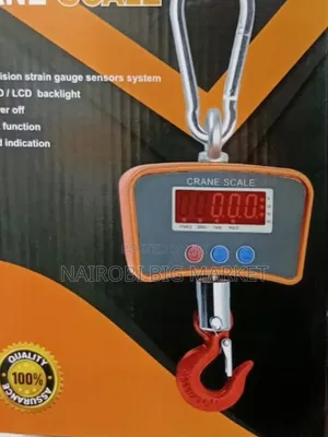 200kg Crane Scale