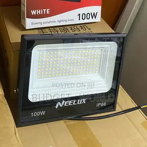 Neelux 100W IP66 LED Floodlight with Adjustable Bracket