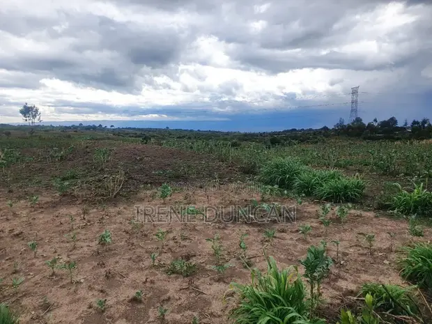 1 Acre Plot for Sale in Isinya, Kajiado - 1