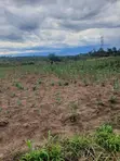 1 Acre Plot for Sale in Isinya, Kajiado - 2
