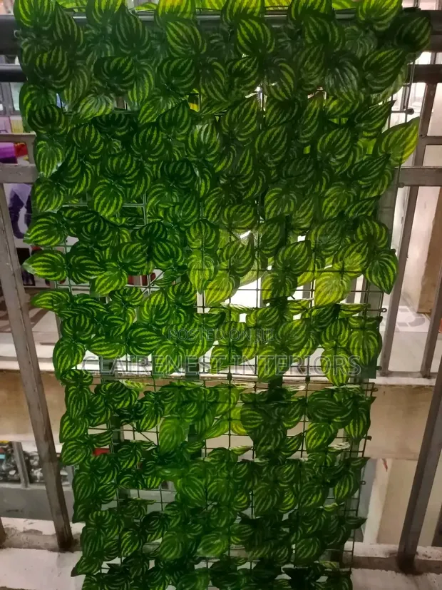Create a Lush-Looking Balcony With Privacy Fence With Watermelon Leave - 1