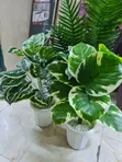Artificial Flower - 1