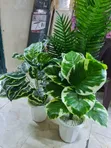 Artificial Flower - 2