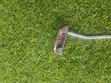 TaylorMade TP Collection Dupage Putter 34" Good Condition - 1