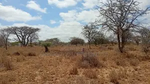 Prime Plots for Sale in Emparnat Gardens, Kajiado
