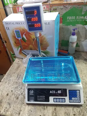 ACS-40 Digital Computing Weighing Scale With Arm