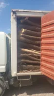 Acacia Firewood - Custom Cut & Bulk Delivery - 3