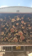 Acacia Firewood - Custom Cut & Bulk Delivery - 4