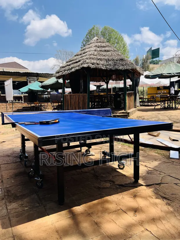 25mm Thickness Foldable Table Tennis with Accessories - 1