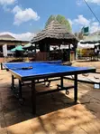 25mm Thickness Foldable Table Tennis with Accessories - 1