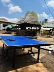 25mm Thickness Foldable Table Tennis with Accessories - 2