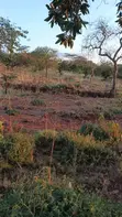 Shamba la Eka 100 Sultan Hamud Hills kwa Uuzaji - 2