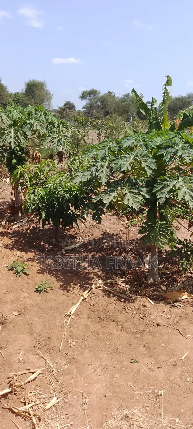 Kiwanja cha Ardhi kwa Uuzaji Matuu Kivandini - 1
