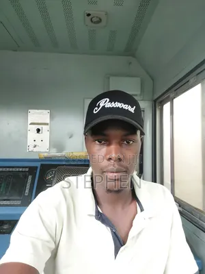 Mwandishi wa Taaluma Anapatikana