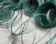 Green Razor Wire - 2