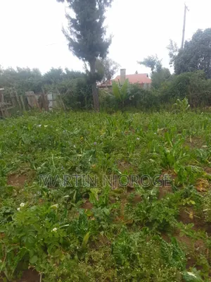 50x100 Plot for Sale in Magumu