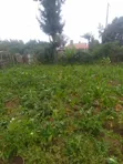 50x100 Plot for Sale in Magumu - 2