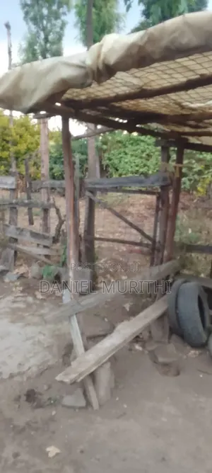 Residential Land for Sale - 50x100 Plot, Bahati