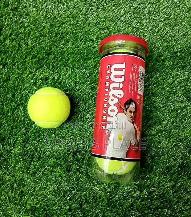 Wilson Extra Duty Championship Tennis Balls (3 Pack) - 1