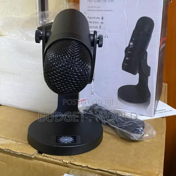 Premium Professional Podcast Microphone with Voice Isolation - 1